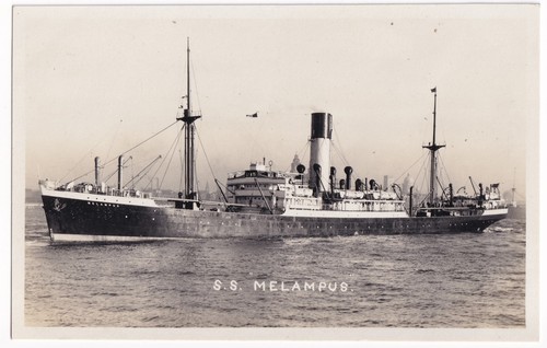 Melampus blue funnel line - blue,