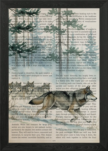 Wolf pack hunting text - wolf, on