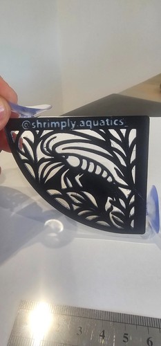 Aquarium corner shelf plant - corner,