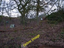 Photo 6x4 Pheasant pens near