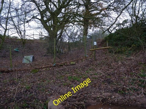 Photo 6x4 pheasant pens - photo,
