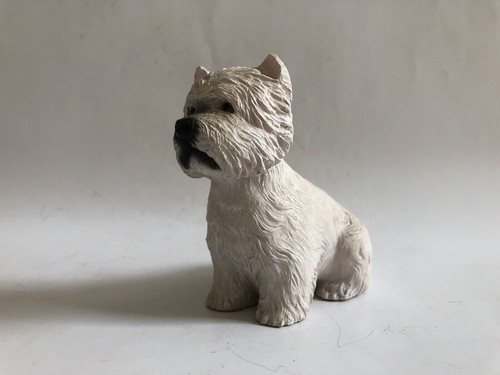 Leonardo westie west highland - leonardo,
