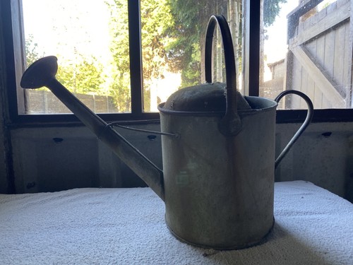 Vintage galvanised gallon - galvanised,