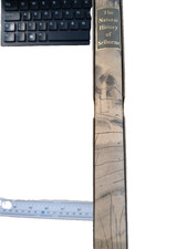 The Natural History of