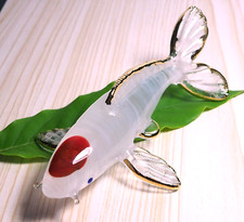 Japanese CARP Tancho Koi Fish