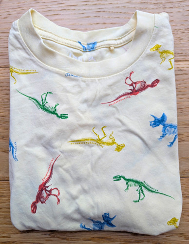 Uniqlo boys dinosaur - uniqlo,