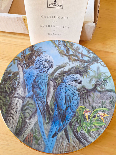 Wedgwood fragile paradise - fragile, spix