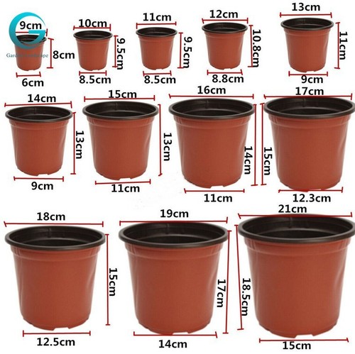 Plastic plant flower - plant, pots