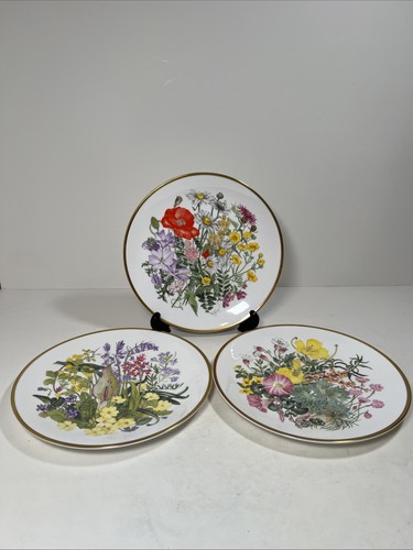 Caverswall spink bone china - -,