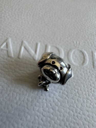 Pandora sterling silver - pandora, pet