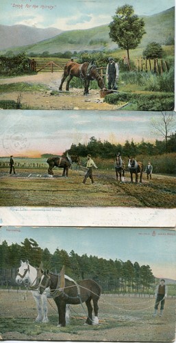 Postcards horses rural farm - 3,