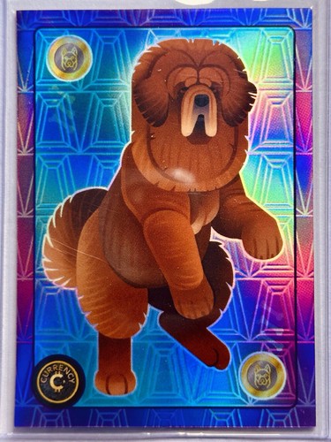 Tibetan mastiff 2025 - mastiff,