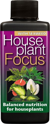 Growth technology houseplant - growth,