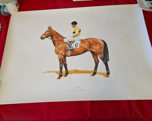 Arkle brigadier gerard gary - arkle,