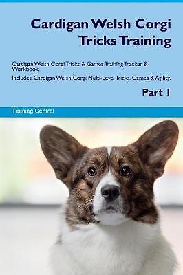 Cardigan welsh corgi - welsh,