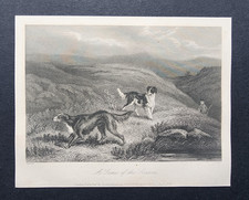 Antique 1843 print shooting - antique,