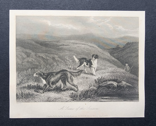 Antique 1843 print shooting - antique,