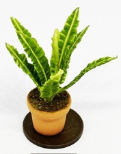 Dolls House Green Plant In A