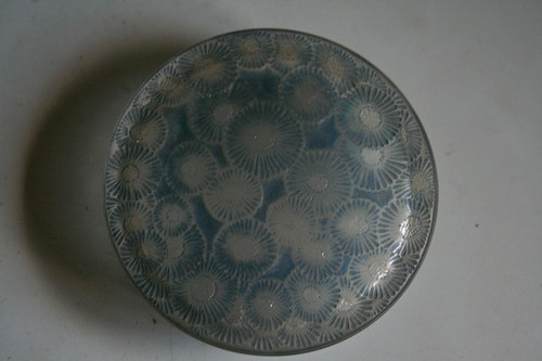 Rene lalique marguerites - rene, glass