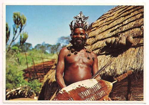 South africa postcard zulu - africa,