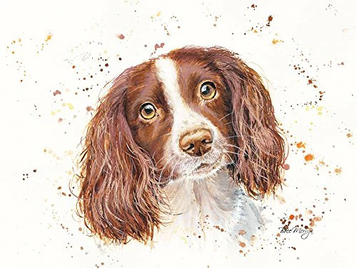 Bree merryn sky spaniel canvas - merryn,