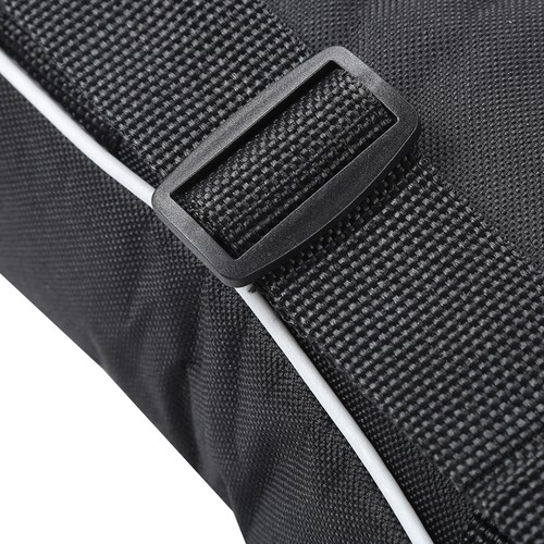 Mandolin case gig bag - case,