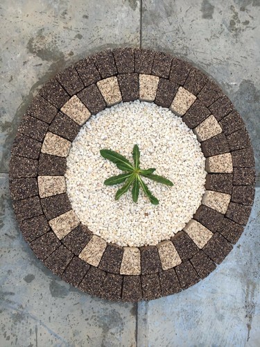 Duo colour granite tree plant - colour,