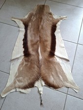 Sourh African Springbok Hide Fur Rug Mat Christmas Winter Decoration
