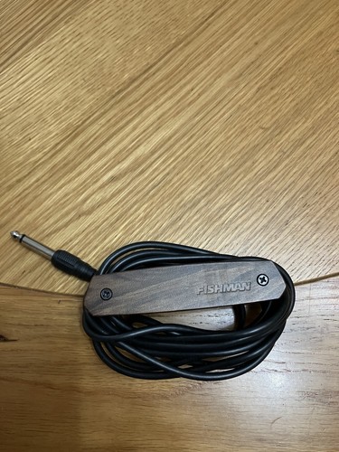 Fishman single coil acoustic