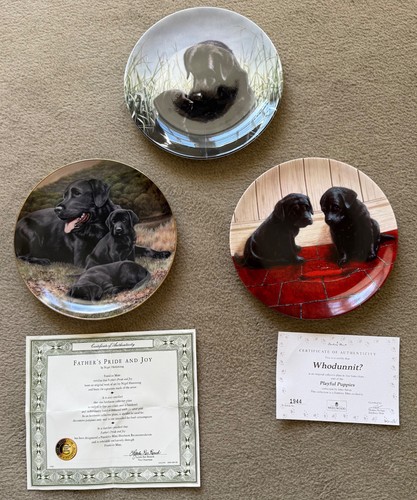 Bundle black labrador - of, 3