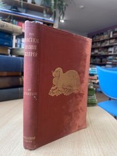 RARE 1870s The Practical