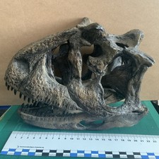 Tyrannosaurus Rex T-Rex Head