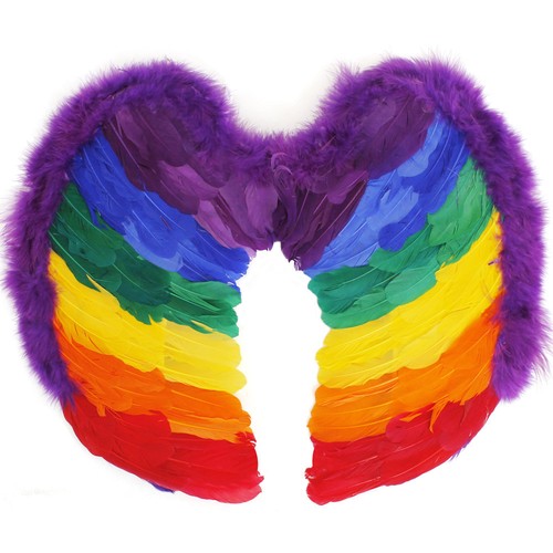 Rainbow feather wings adult - rainbow,