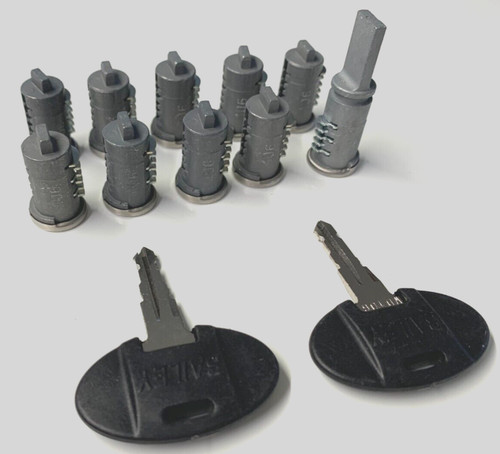 Bailey door lock barrel set - door,