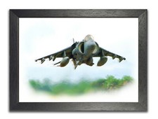 Harrier Copy of Painting Jump