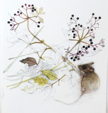 Mads Stage Field Mouse With Berries Wildlife Botanical Print