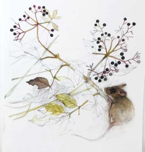 Mads stage field mouse with - mads,