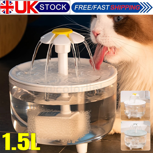 Pet cat dog - water, fountain