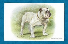 C1930s PC BRITISH BULLDOG by GEORGE RANKIN, SALMON PUB'D DOGS