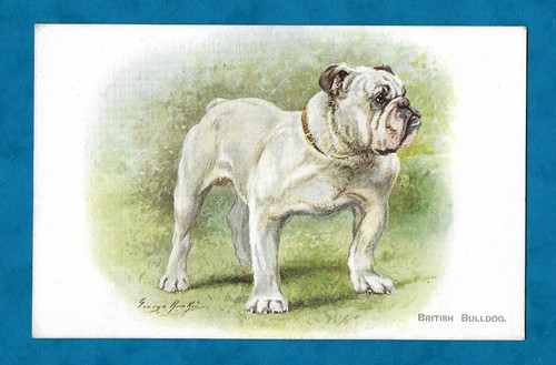 C1930s british bulldog - bulldog, by