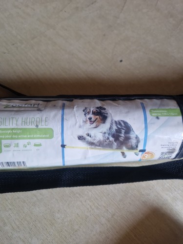 Zoofari dog agility - dog,