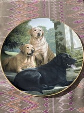 Canine Companions-Franklin