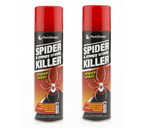 Spider creepy crawly - spider, &