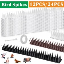 10m bird spike - spike, for