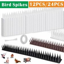 Fence Wall Spikes Garden