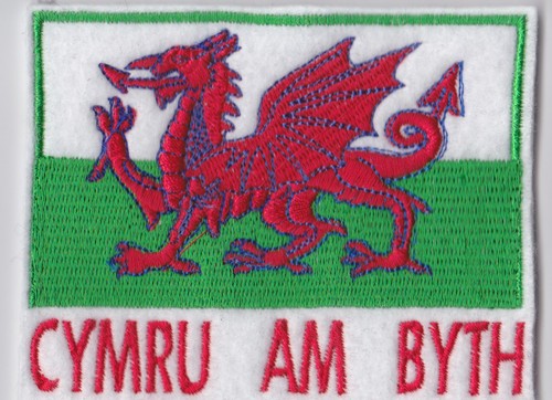 Proud welsh dragon flag - be,