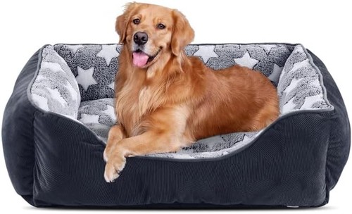 Extra large orthopedic dog - large,