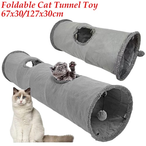 Interactive cat tunnel - cat,