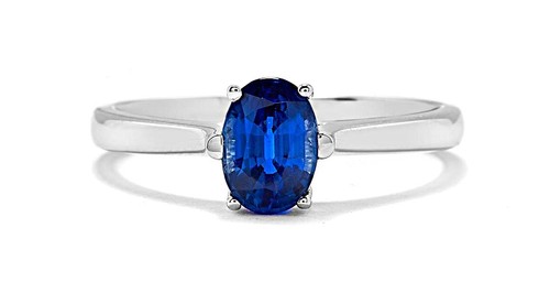 Beautiful solitaire himalayan - solitaire,