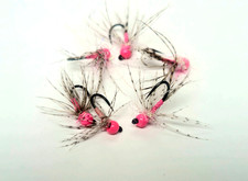 Euro Nymph Fly Pink n